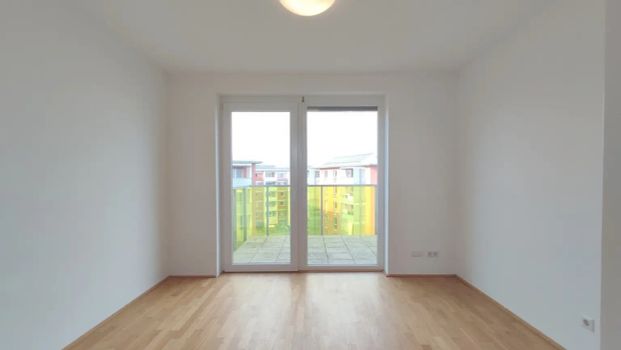 Mitten in Linz und doch so grün - schön & praktisch Wohnen - Photo 1