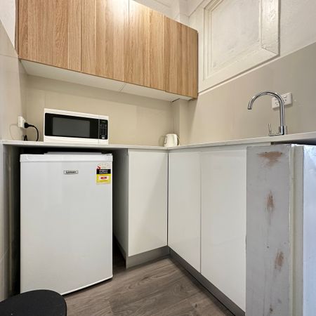 L/48A Darlinghurst Road, Potts Point NSW 2011 - Studio For Rent | Domain - Photo 3