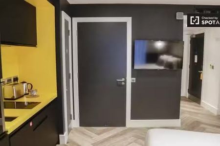 Serviced studio apartment for rent in The Liberties, Dublin - Photo 2