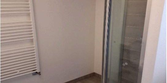 Location Appartement 1 pièce 39m² STRASBOURG 67000 - Photo 3