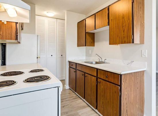 Renovated Suite - 1 Bedroom - Photo 1