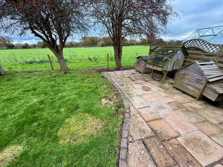 3 bedroom semi-detached house to rent - Photo 5