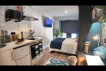 Studio Flat, Pershore Road, B30 - Photo 4