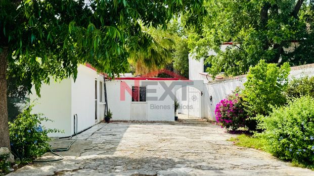 Casa en Renta en Los Rodríguez | Norte de Saltillo | 1 Planta con Jardín y Terraza - Photo 1
