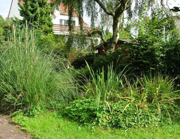 Freistehendes Einfamilienhaus mit großem Garten mit Obstbäumen zu vermieten. - Photo 1