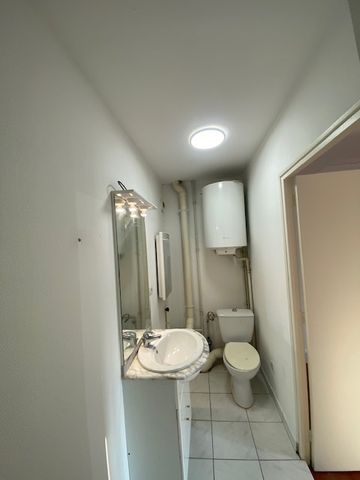 Location Appartement 1 pièce 25m² NANCY 54000 - Photo 3