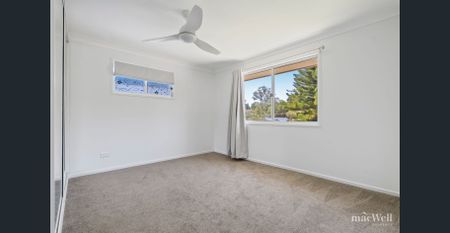 Freshly Renovated Highset Dwelling in a Peaceful Bushland Pocket - Photo 4