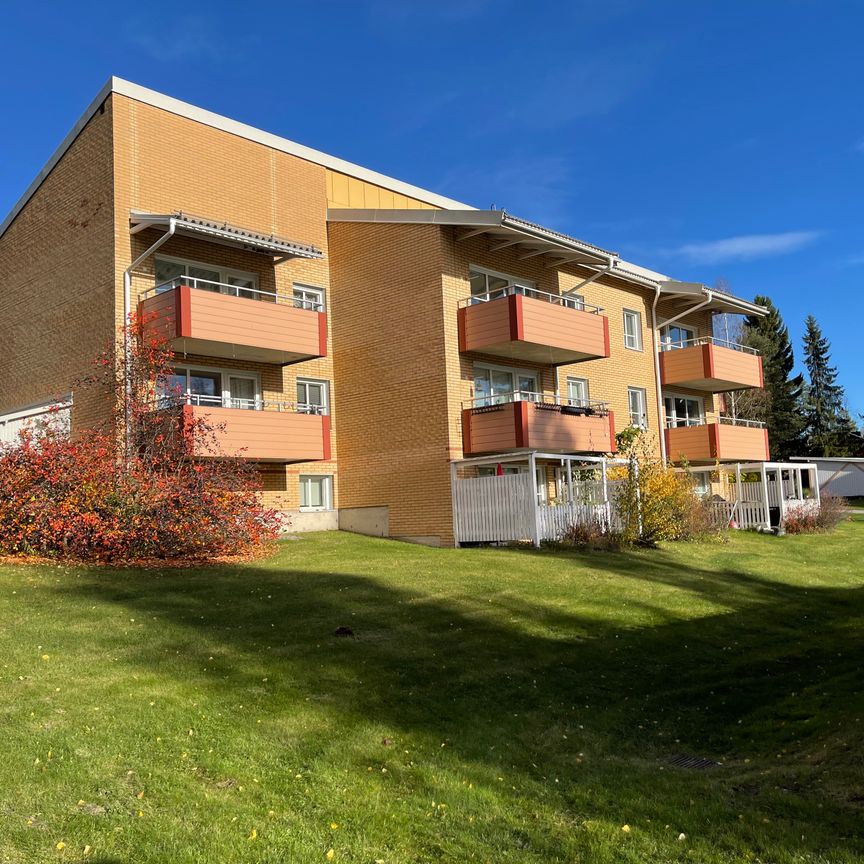 Löftesgränd, Skellefteå - Photo 2