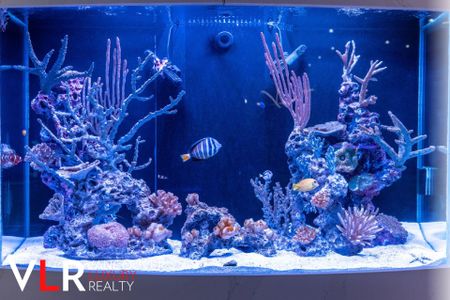 Penthouse in Downtown Vancouver, BC - Photo 2