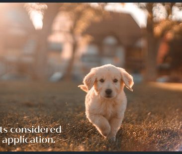 12 Milkhouse Drive, Raymond Terrace, NSW 2324 - Photo 4