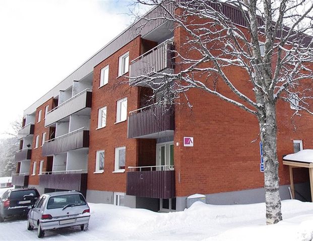 Vallgatan 4L - Foto 1