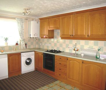 Tulip Fields, Spalding, Whaplode - Photo 3