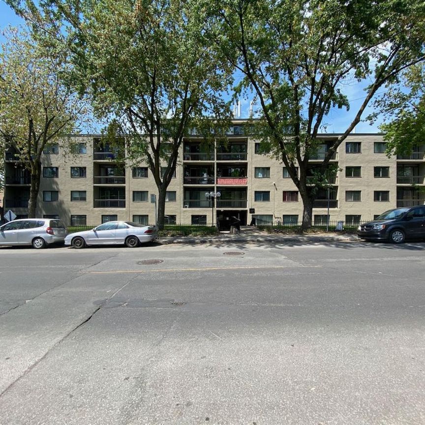 One-Bedroom (3.5) - 6325 Blvd Maurice-Duplessis, Montréal - Photo 1