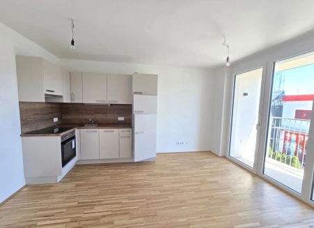 GEFÖRDERTE, neuwertige 2 Zimmer-Wohnung mit Loggia - Dornschneidergasse 27 - Top 013 - Foto 4