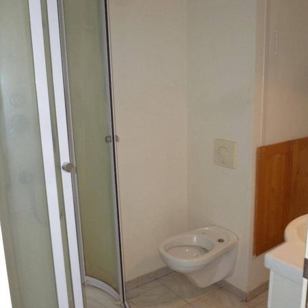 Location appartement 2 pièces 30.01 m² à Annemasse (74100) 4 - Photo 3