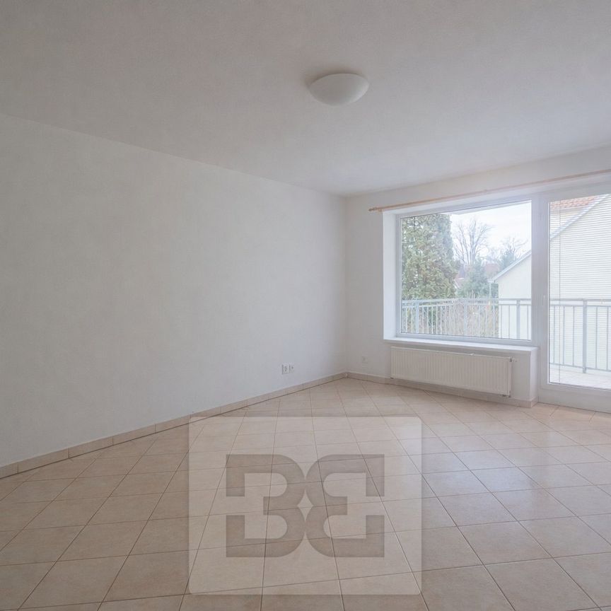 Apartment for rent, 1+1 - Studio, 51m - Photo 1