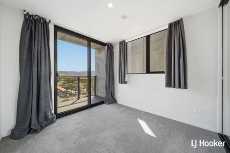 726/335 Anketell Street, Greenway ACT 2900 - House For Rent | Domain - Photo 2