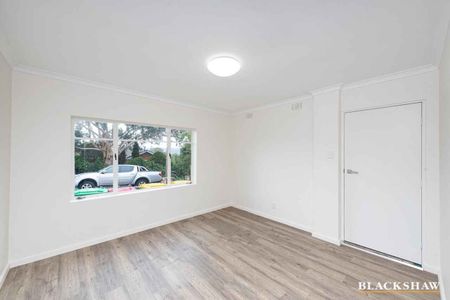 One Bedroom Unit Within Minutes Of Queanbeyan Centre - Photo 4