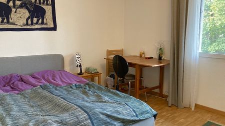 2½ Zimmer-Wohnung in Stein (AG), möbliert, auf Zeit - Photo 3