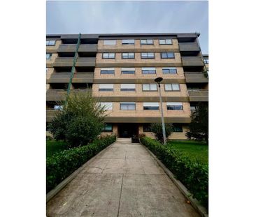 Rua de Afonso Baldaia, Porto, Braga 4150 - Photo 4