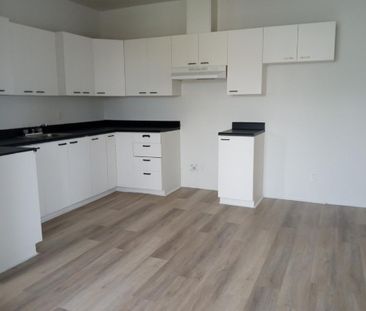 Superbe logement 4 1/2 vue sur la mer , Sainte Anne des Monts , Hau... - Photo 4