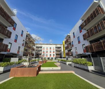 Library Lane Cutie - Photo 1