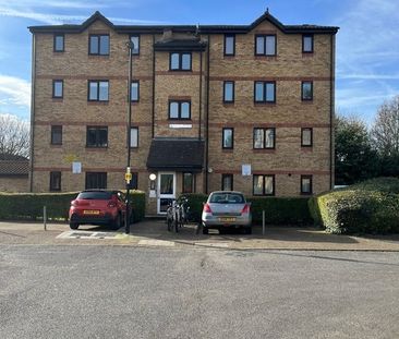 Studio Flat, Carew Court, SE14 - Photo 3