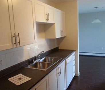 137, 145 & 149 Walker Ave — 1 Bedroom - Photo 1