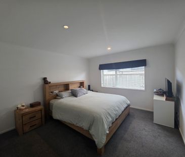 Dive into Dunkeld - Papamoa - Photo 1