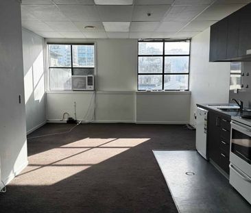 8F/15 Dixon, Te Aro - Photo 4