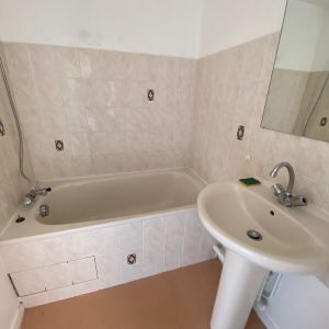 Location Appartement 1 pièce 24m² OLIVET 45160 - Photo 2