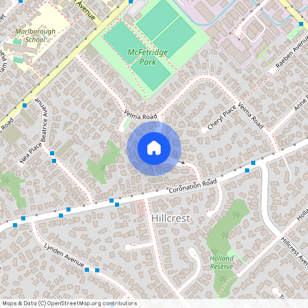 17 McFetridge Place, Hillcrest, North Shore City