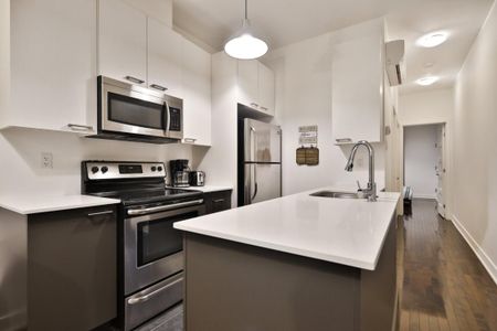 Appartement à louer - Montréal (Le Plateau-Mont-Royal) (Le Plateau-Mont-Royal) - Photo 3