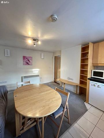 Mountpleasant Avenue Upper, Ranelagh, Dublin 6 - Photo 4