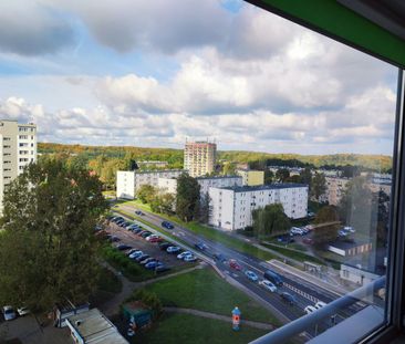 2-pokojowe, widok na Zatokę | Gdynia, Witomino - Фото 3