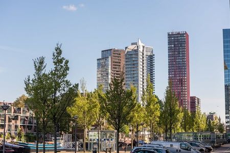 Te huur: Appartement Wijnbrugstraat 317 in Rotterdam - Photo 4