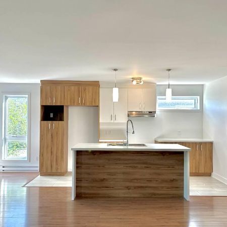 Logement 2 Chambres 1 Salle de Bain - Demi-sous-sol - Bois Des Filion - Photo 4