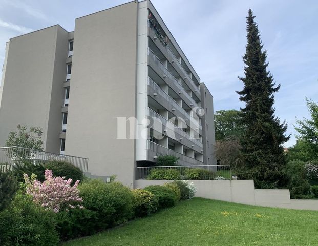 3.5 Zimmer, 67 m², 3. Stock - Photo 1