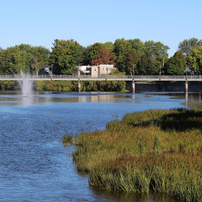 3 ½ à Louer, Beau Secteur! - Photo 1