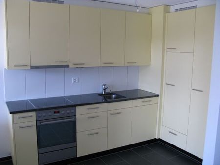 Apartment with large balcony and own ecological electricity - Foto 3