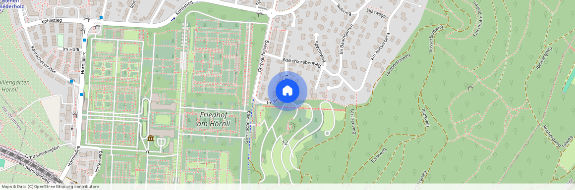 4125, Riehen, Im Finstern Boden, 17