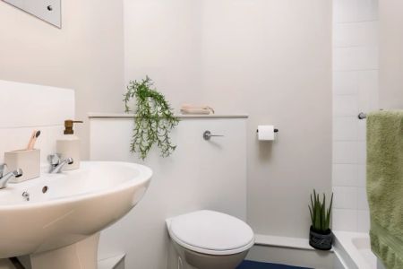 Extra Large Ensuite: Three Bed Flat - Photo 4