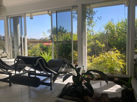 Chapel Hill - Photo 2