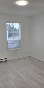 Spacious 2-Bedroom, 1.5 Bathroom in the Heart of Steveston Village - Photo 4