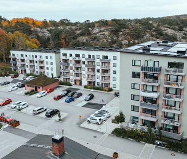 Trädgårdsgatan 12 - Foto 1