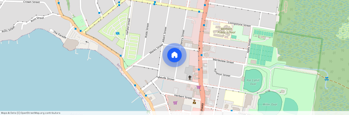 45 Henry Street, Belmont