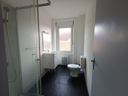 Location Appartement 2 pièces 33m² BELFORT 90000 - Photo 4