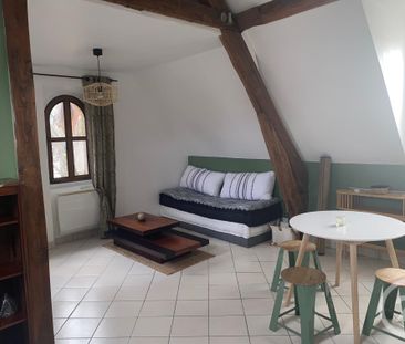 Location Appartement 1 pièce 36m² AVON 77210 - Photo 1