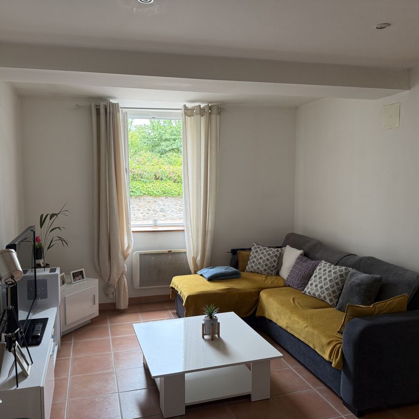 Location Appartement 2 pièces 50m² MARTRES TOLOSANE 31220 - Photo 1