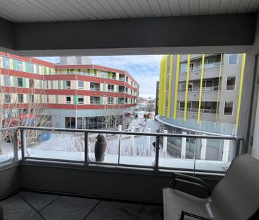 2 Bedroom Condo downtown in The Banks - Photo 3